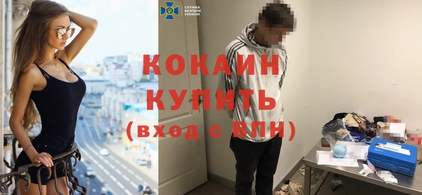 ПСИЛОЦИБИНОВЫЕ ГРИБЫ Каменногорск