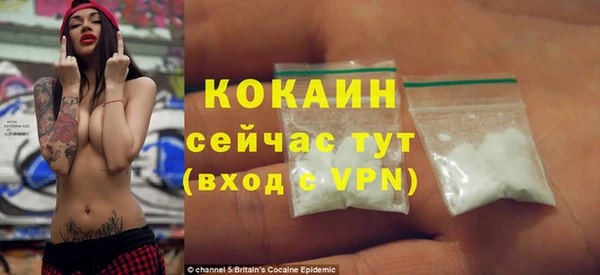 кокс Касимов