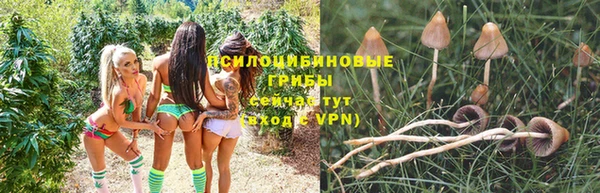 метадон Инсар