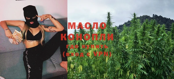 гидропоника Каменка