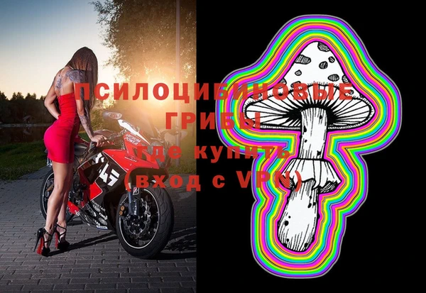 ПСИЛОЦИБИНОВЫЕ ГРИБЫ Каменногорск
