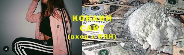 кокс Касимов